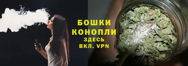 трава Новокубанск