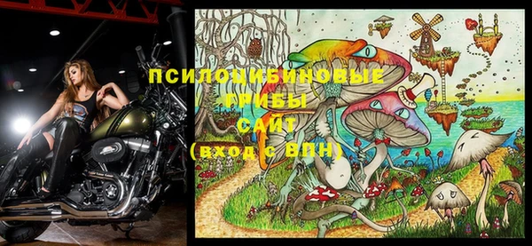 трава Новокубанск