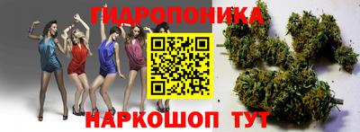 спайс Новодвинск