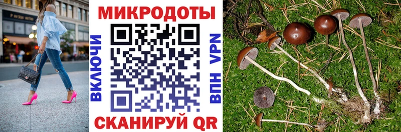 мега ССЫЛКА  Раменское  Галлюциногенные грибы мицелий 